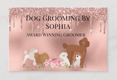 Photo associated with Dog Grooming By Sophia