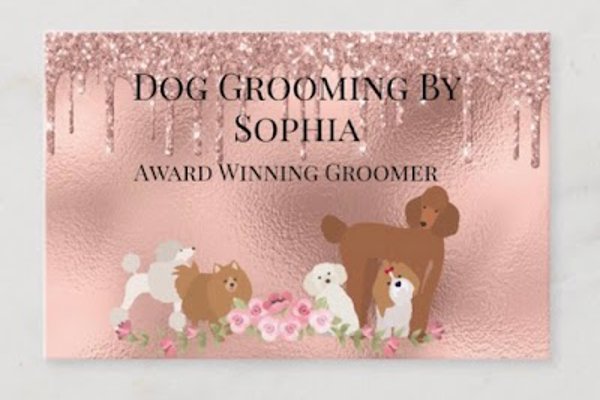 Photo associated with Dog Grooming By Sophia