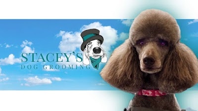 Photo associated with Staceys Dog Grooming