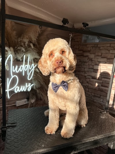 Photo associated with Muddy paws Dog grooming Coleshill