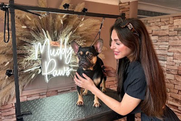 Photo associated with Muddy paws Dog grooming Coleshill