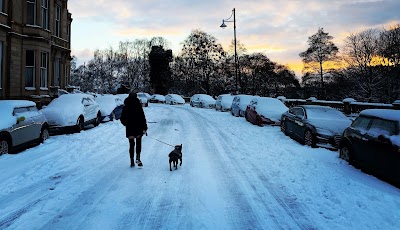 Photo associated with Kelvingrove Dogs Grooming and Dogsitting