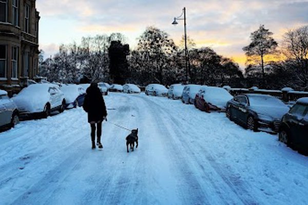 Photo associated with Kelvingrove Dogs Grooming and Dogsitting