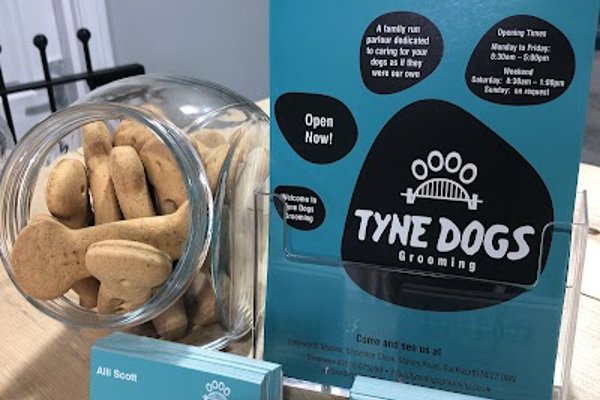 Photo associated with Tyne Dogs Grooming