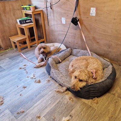 Photo associated with Caroline's Dog Grooming