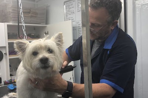 Photo associated with Kane-9 Mobile Dog Grooming
