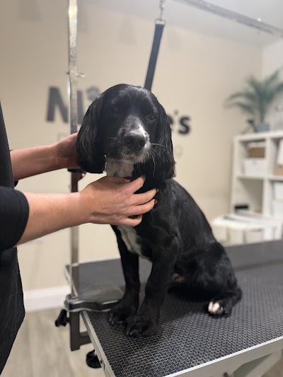 Photo associated with Minnie’s Dog Grooming