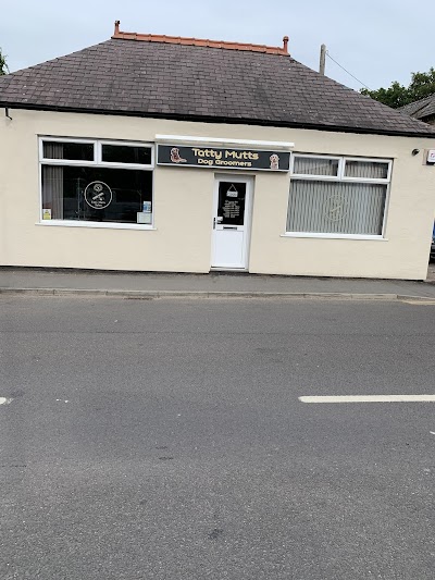 Photo associated with Tatty Mutts Dog Groomers