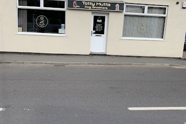 Photo associated with Tatty Mutts Dog Groomers