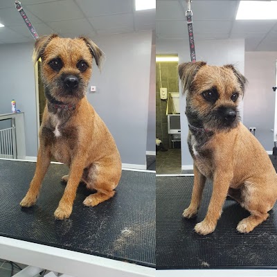 Photo associated with Patch's Dog Grooming Parlour