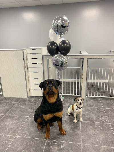 Photo associated with Patch's Dog Grooming Parlour