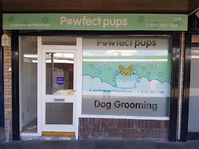 Photo associated with Pawfect Pups
