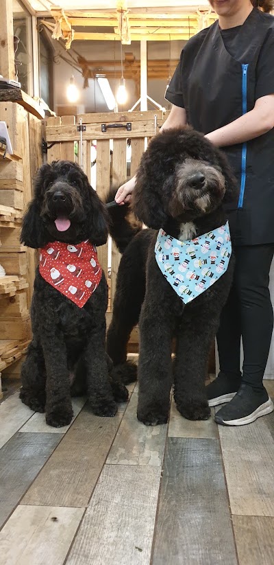 Photo associated with Waggs Grooming