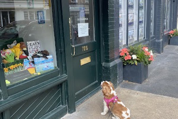 Photo associated with St John’s Pets & Grooming