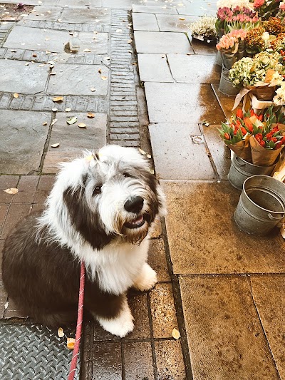 Photo associated with St John’s Pets & Grooming