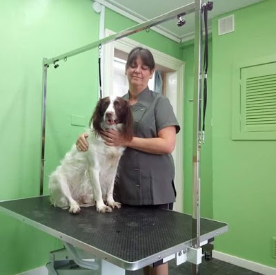 Photo associated with Pawsitively Purrfect Pet Services