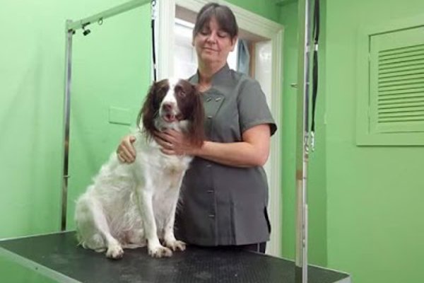 Photo associated with Pawsitively Purrfect Pet Services
