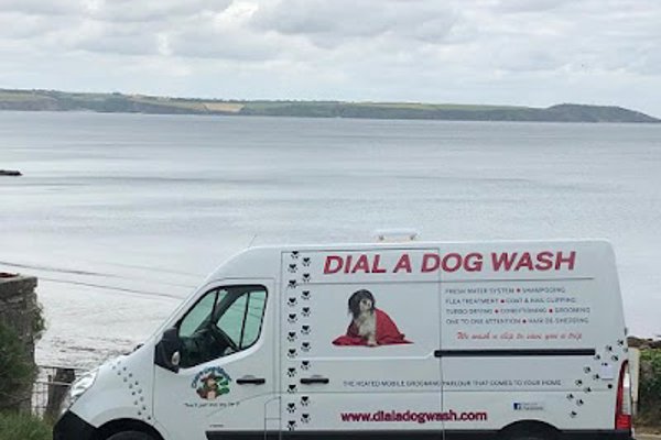 Photo associated with Dial a Dog Wash Nuneaton & Bedworth