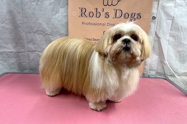 Photo associated with Rob's Dog Grooming
