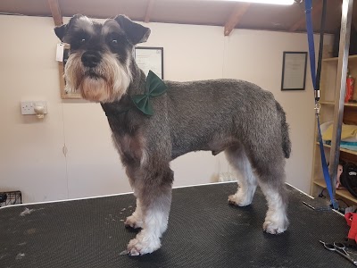 Photo associated with Dog Gone Clean Grooming
