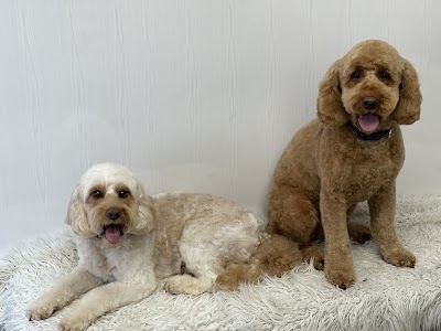 Photo associated with Barks and Bubbles Canine Grooming