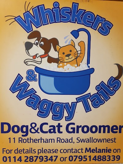Photo associated with Whiskers and Waggy tails