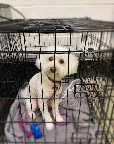 Photo associated with Barking Cuts