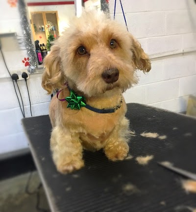 Photo associated with Barking Cuts