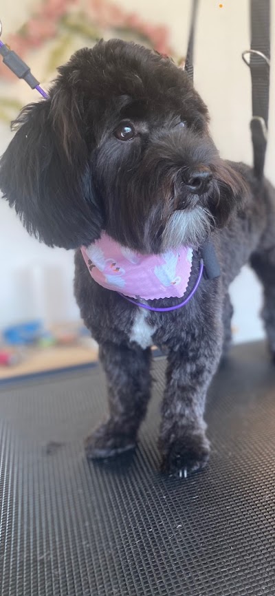 Photo associated with Sparkle Pup Grooming Room