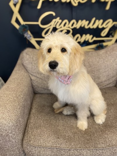 Photo associated with Sparkle Pup Grooming Room