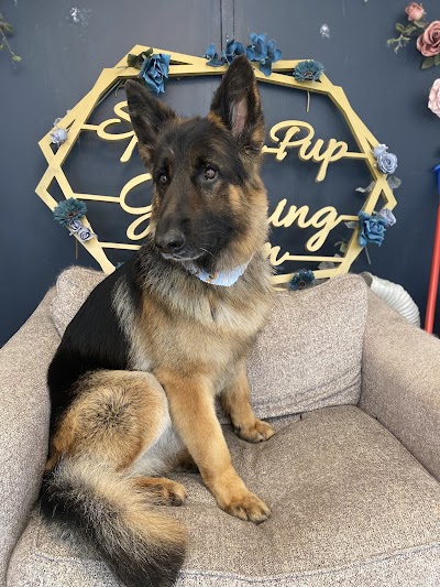 Photo associated with Sparkle Pup Grooming Room