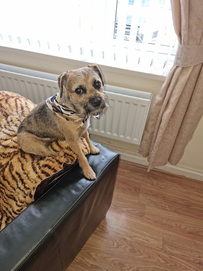 Photo associated with The Dog's Body