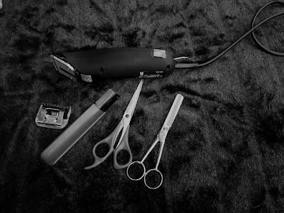 Photo associated with Tangles