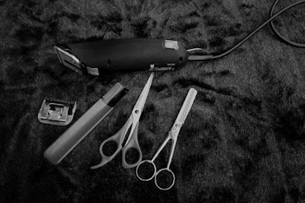 Photo associated with Tangles