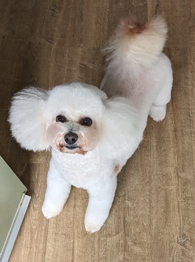 Photo associated with Oh My Dog