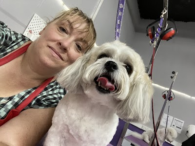 Photo associated with Edward Scissorpaws Dog Stylist