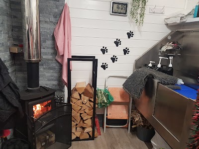 Photo associated with Perfect Pooch