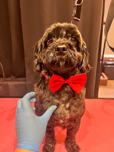 Photo associated with Pink Dog Groomer
