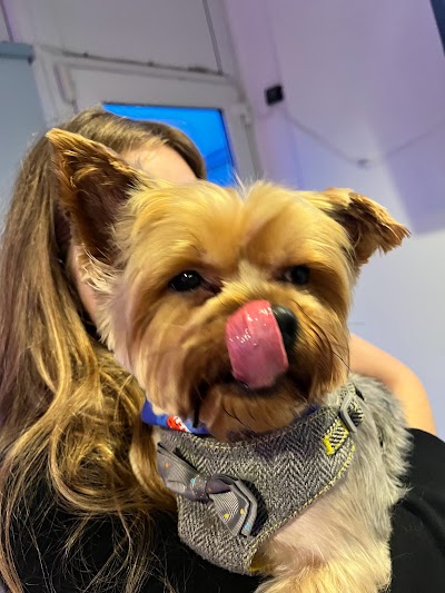 Photo associated with Pink Dog Groomer