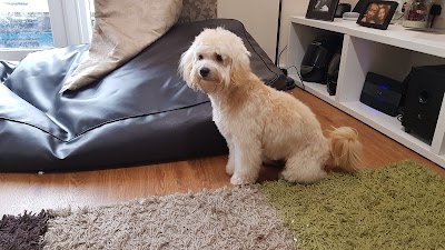 Photo associated with Smarter Dog Grooming Salon