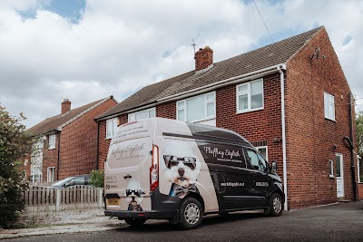 Photo associated with Fluffing Stylish - Mobile Dog Grooming