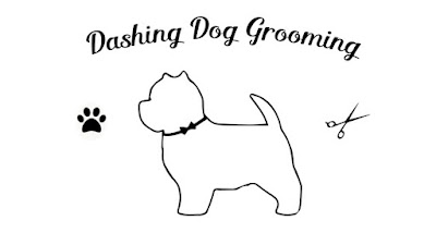 Photo associated with Dashing Dog Grooming