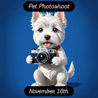Photo associated with Dashing Dog Grooming