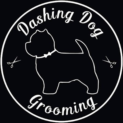 Photo associated with Dashing Dog Grooming