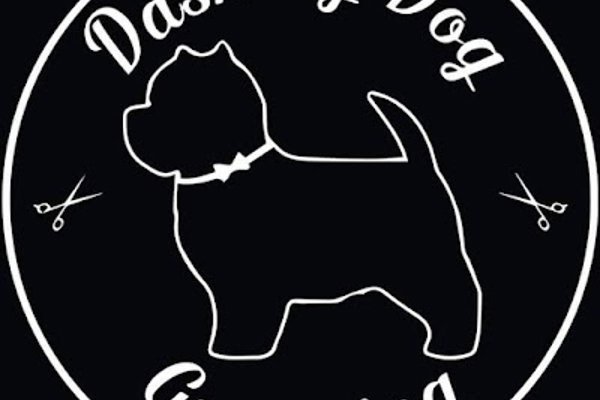 Photo associated with Dashing Dog Grooming