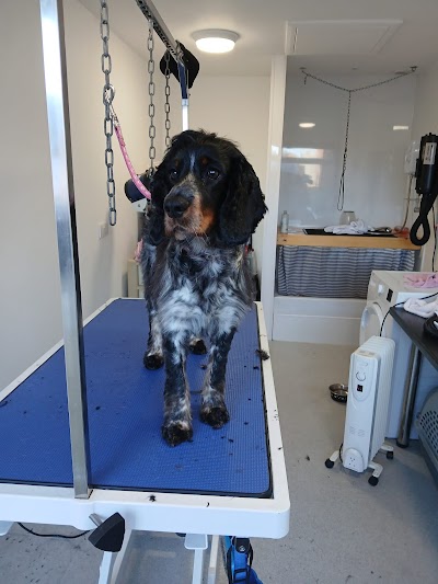 Photo associated with Four Seasons Dog Groomers