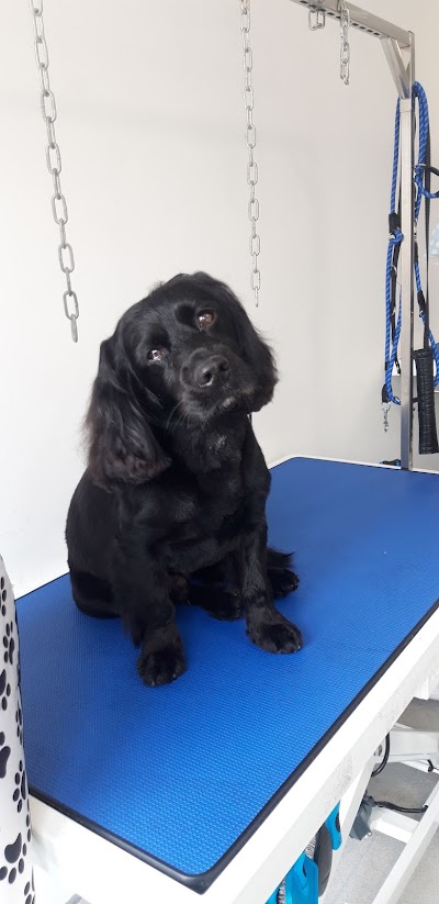 Photo associated with Four Seasons Dog Groomers