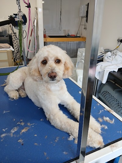 Photo associated with Four Seasons Dog Groomers