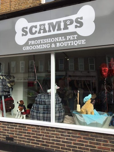 Photo associated with Scamps Professional Pet Grooming