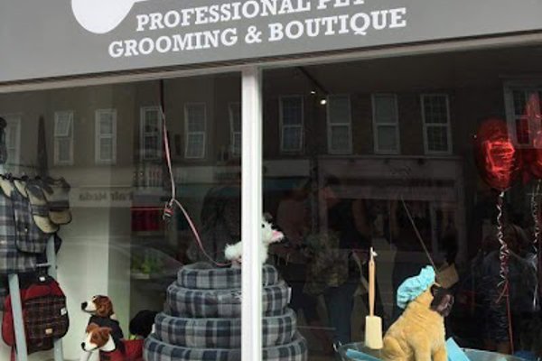 Photo associated with Scamps Professional Pet Grooming